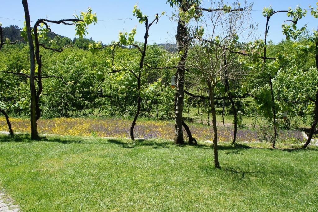 Villa Quinta Travessa à Vieira do Minho Extérieur photo